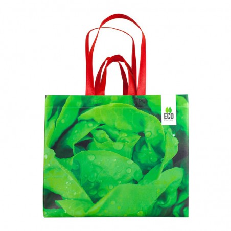 Eco friendly bag